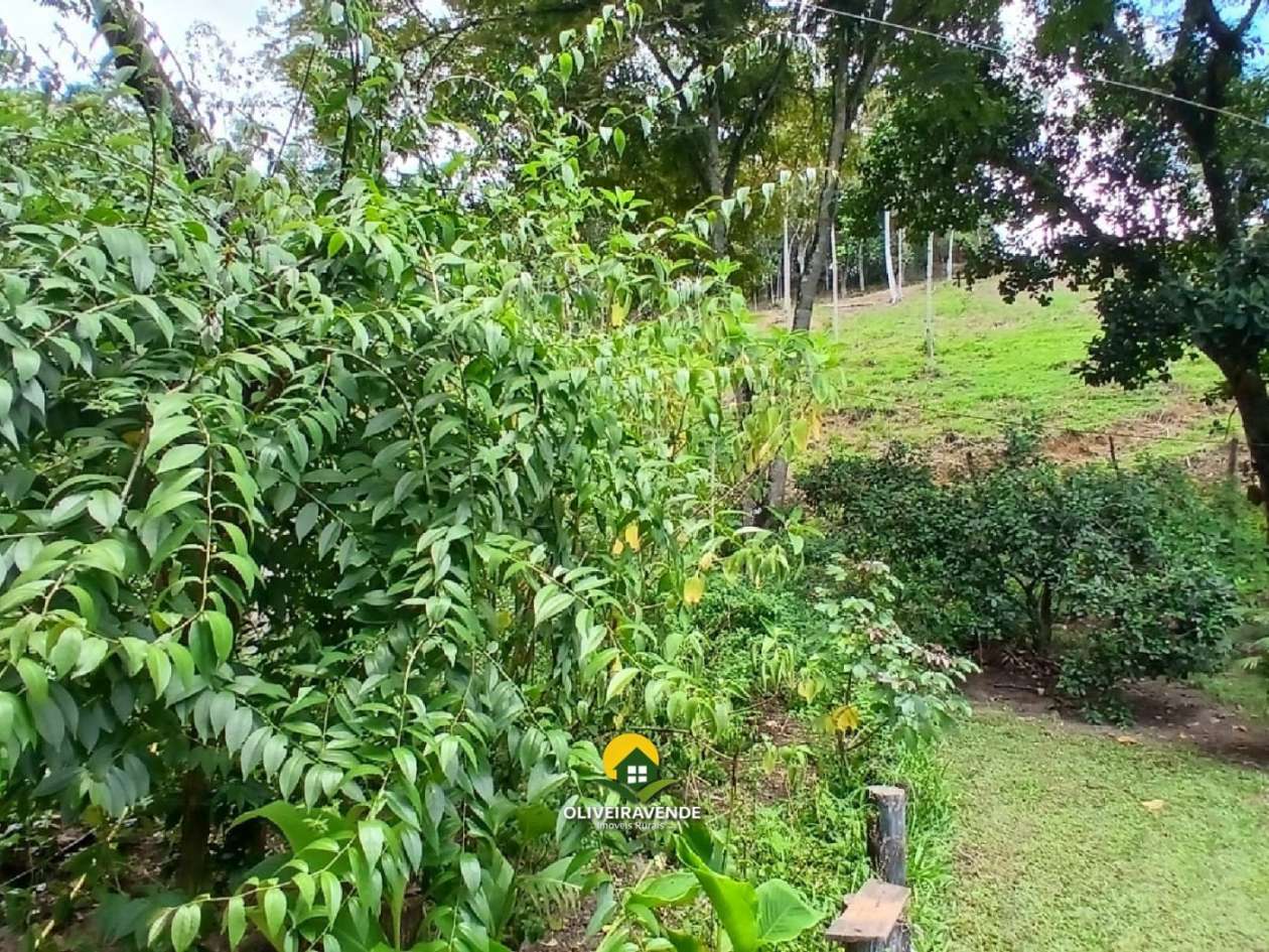 Sítio, 3 quartos, 3 hectares - Foto 14