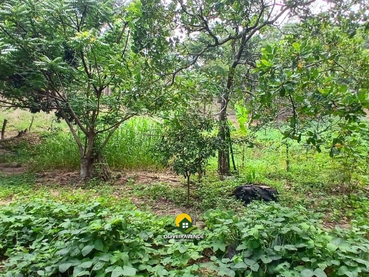 Sítio, 3 quartos, 3 hectares - Foto 15