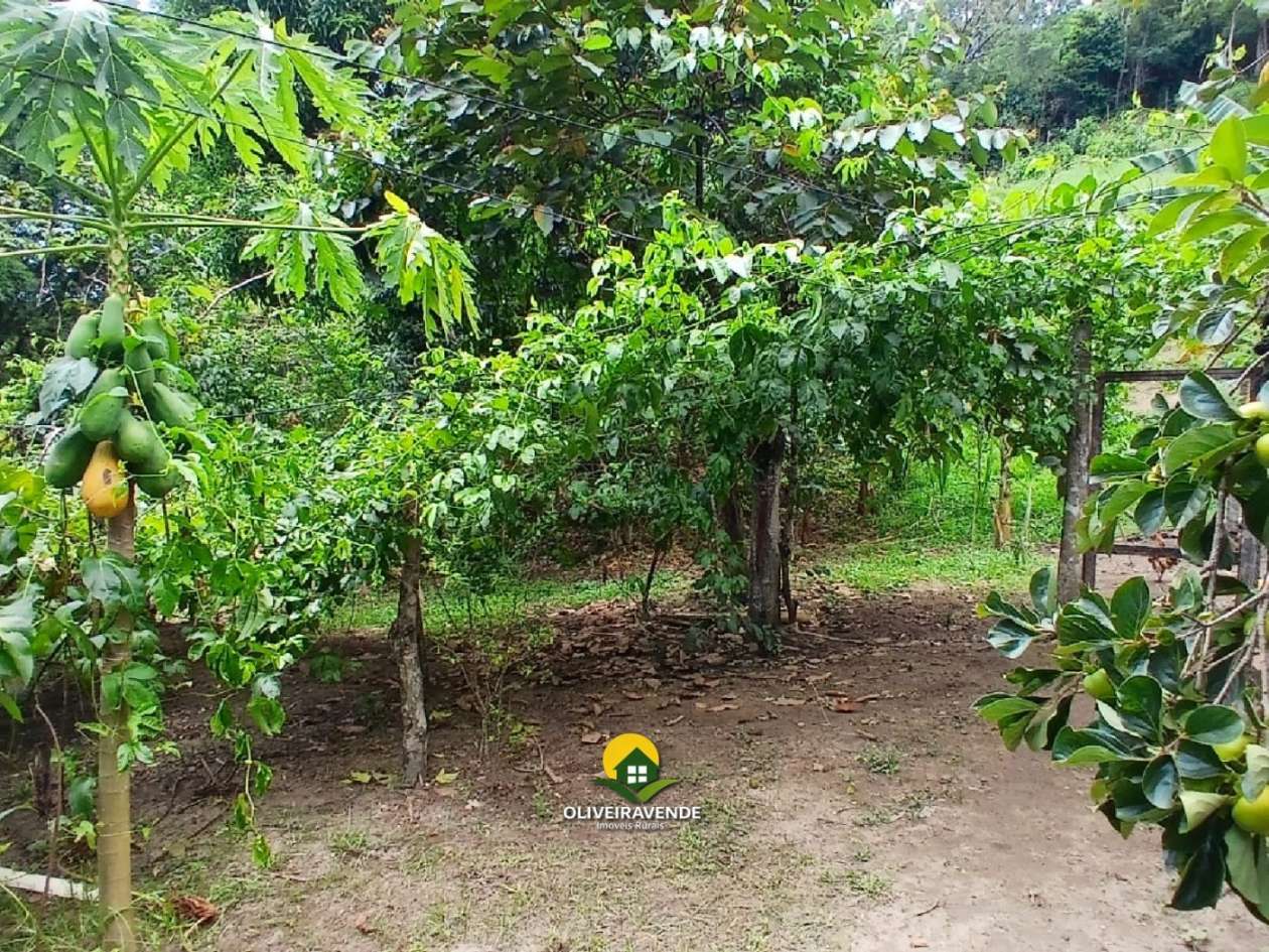 Sítio, 3 quartos, 3 hectares - Foto 12