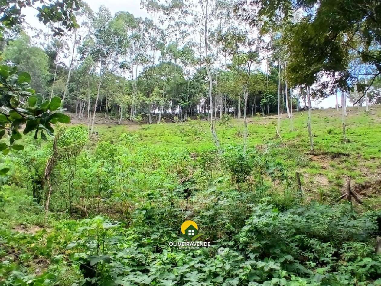 Sítio, 3 quartos, 3 hectares - Foto 28