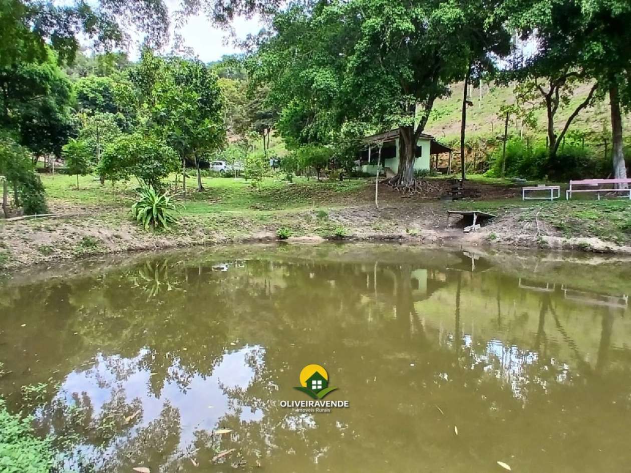 Sítio, 3 quartos, 3 hectares - Foto 8