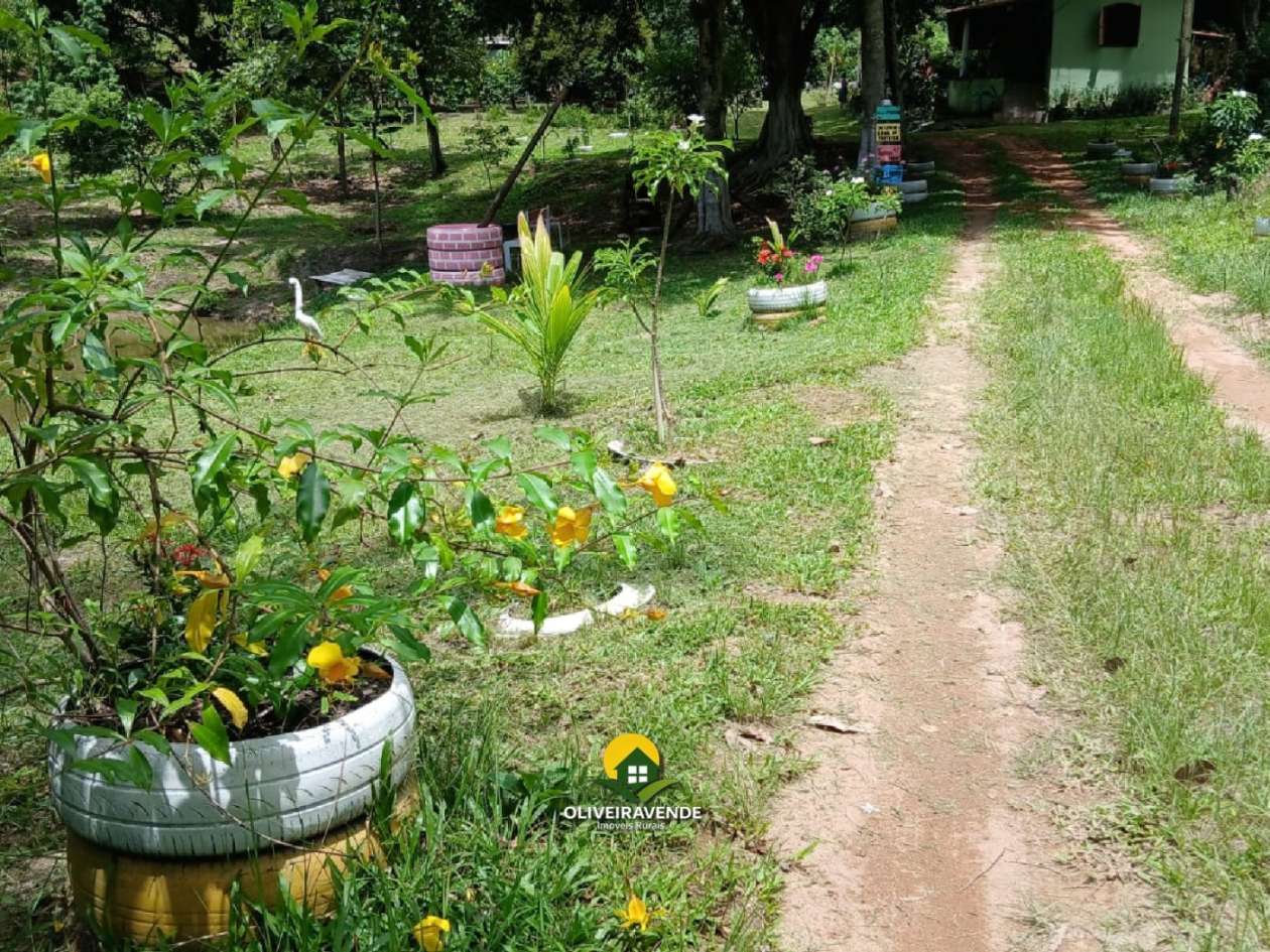 Sítio, 3 quartos, 3 hectares - Foto 13