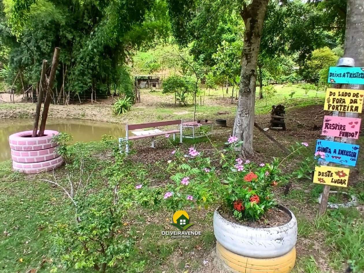 Sítio, 3 quartos, 3 hectares - Foto 4