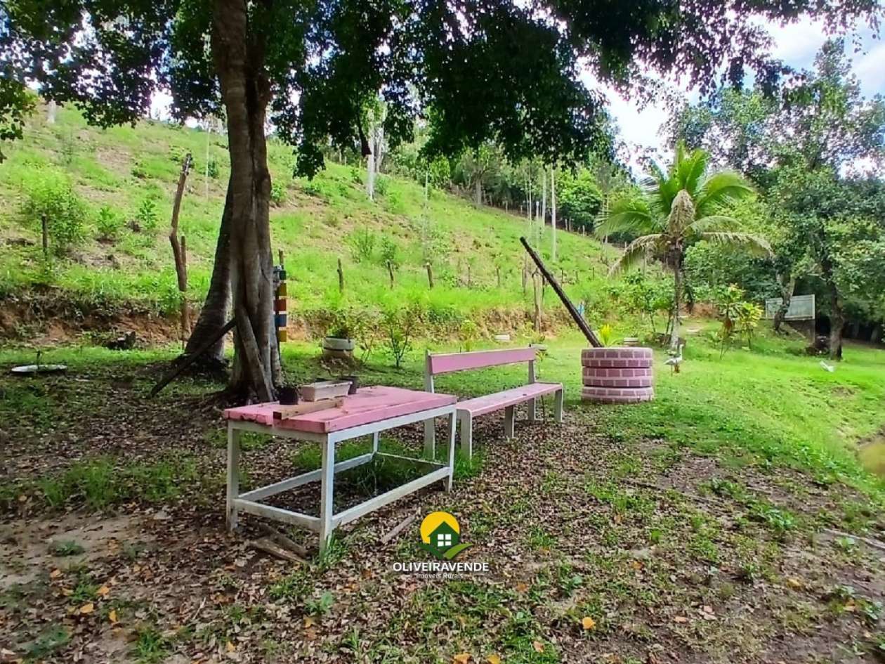 Sítio, 3 quartos, 3 hectares - Foto 10