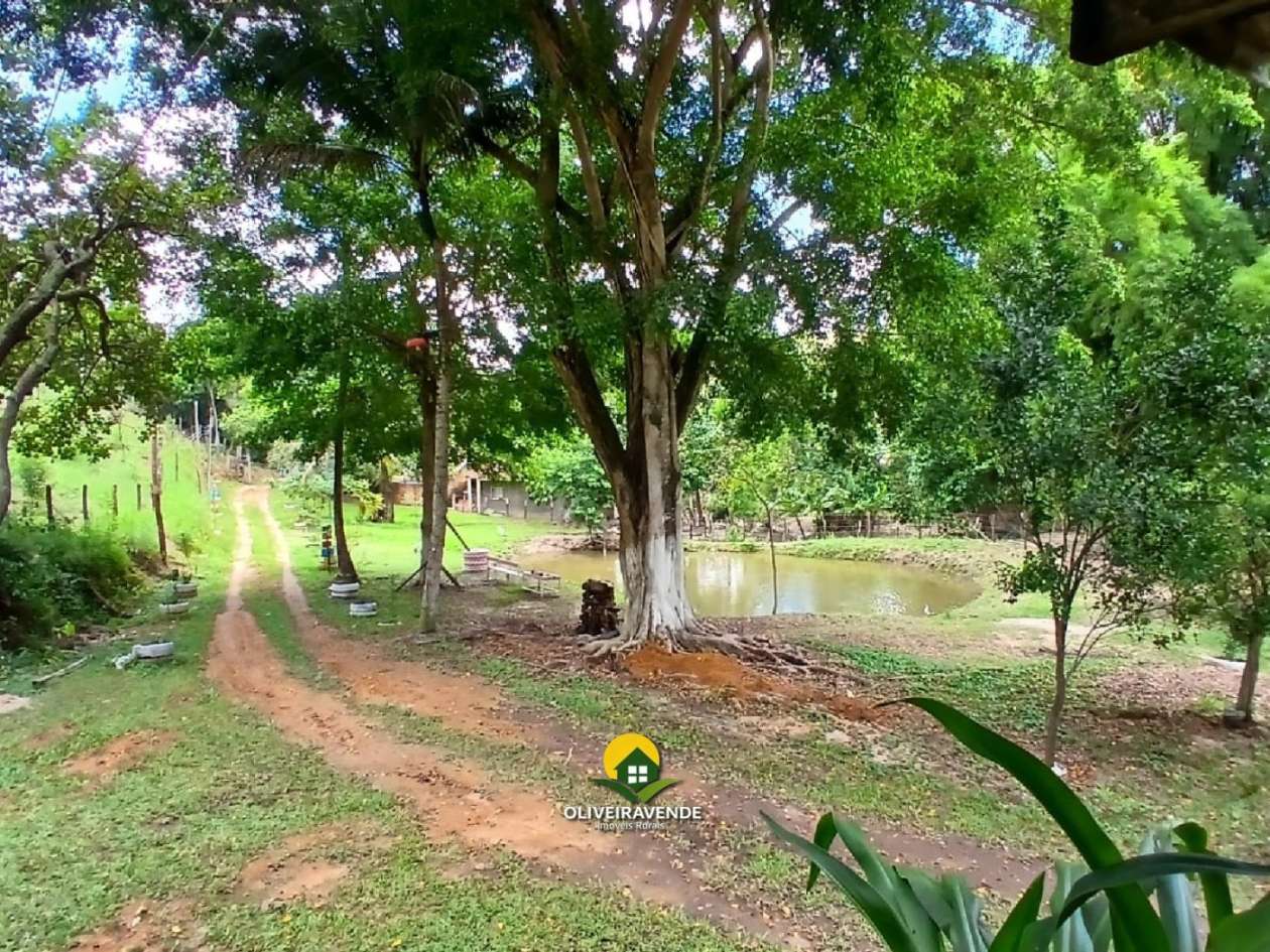 Sítio, 3 quartos, 3 hectares - Foto 17