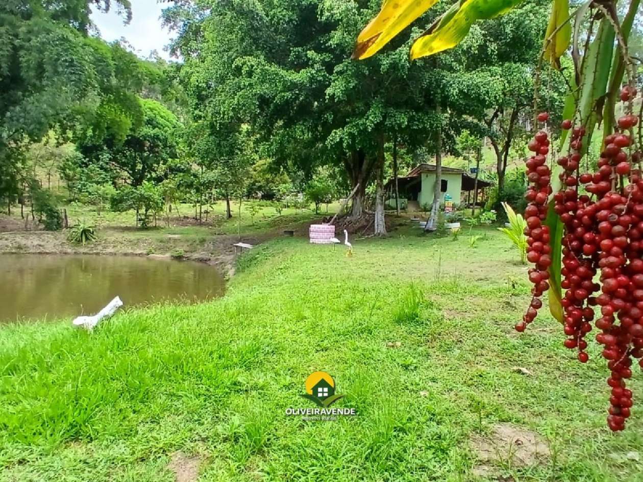 Sítio, 3 quartos, 3 hectares - Foto 3