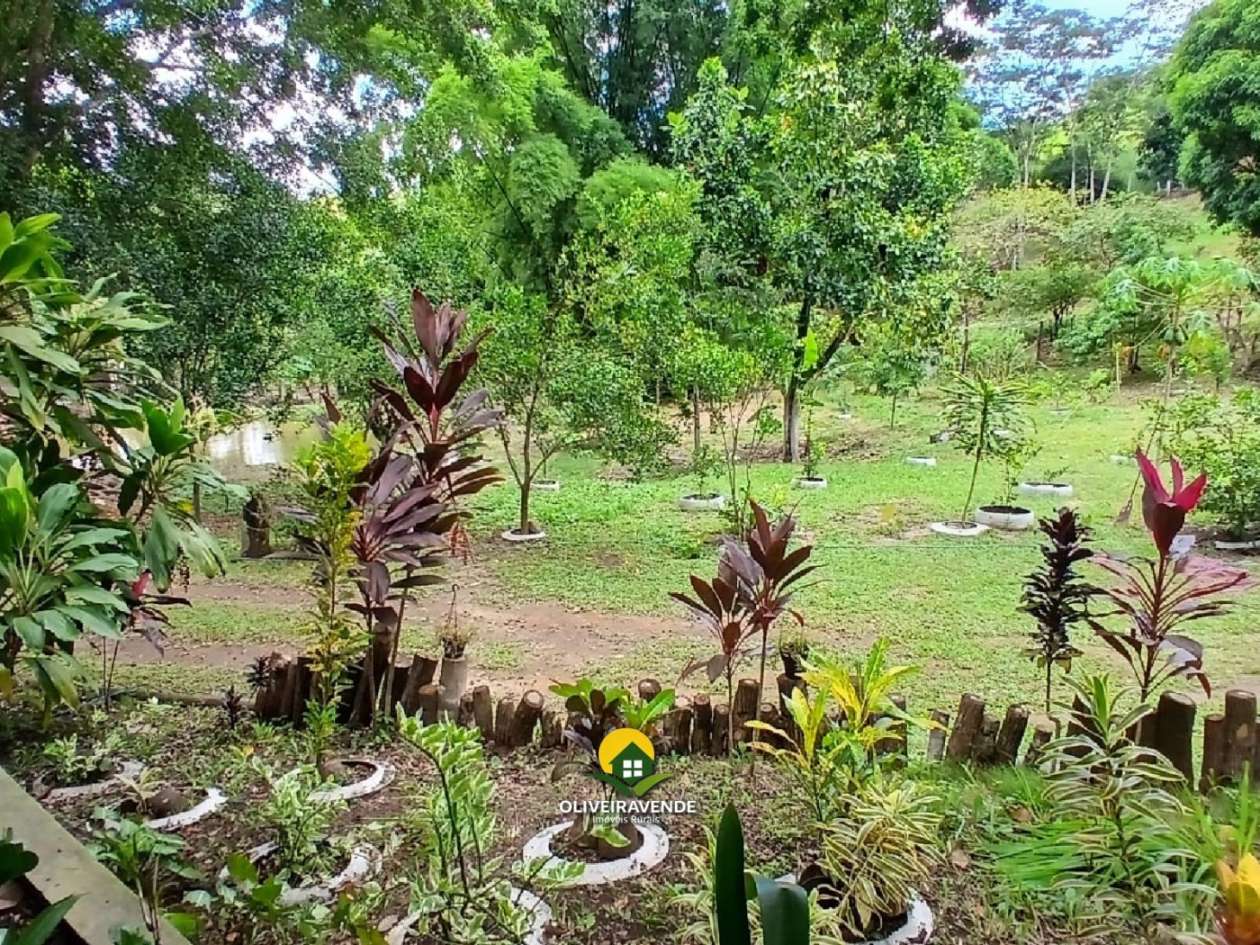 Sítio, 3 quartos, 3 hectares - Foto 16