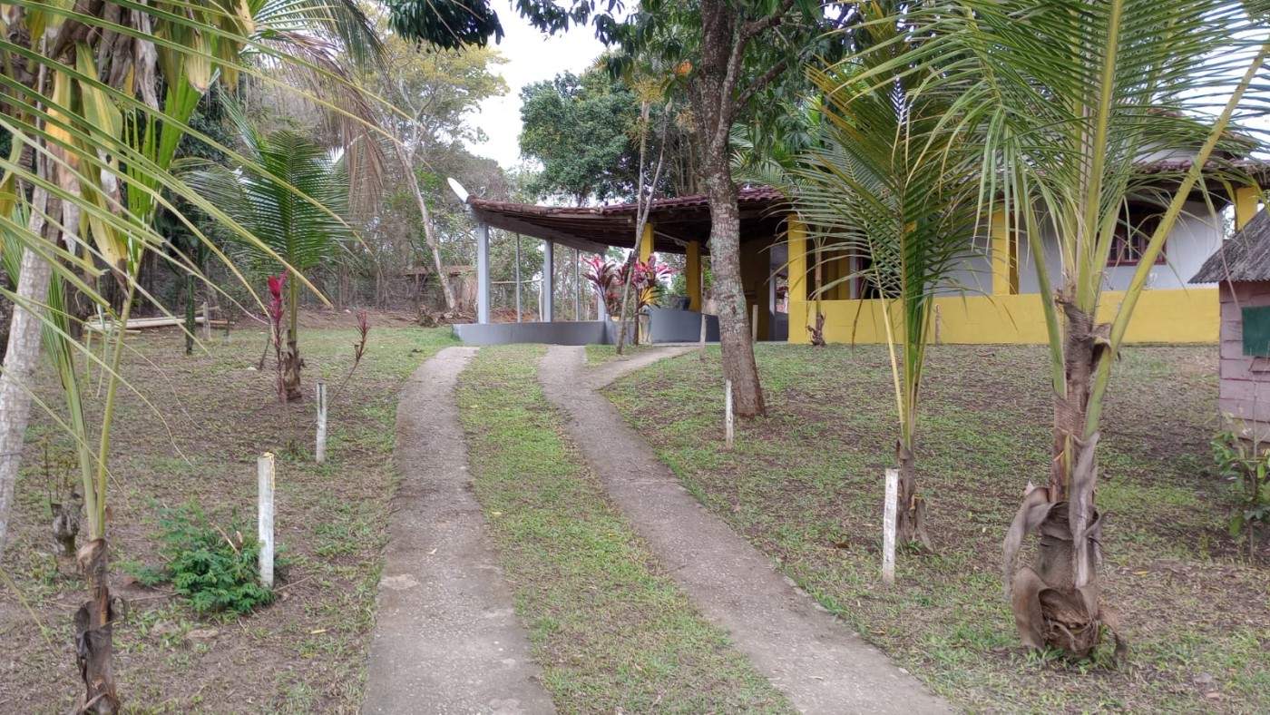 Fazenda, 1040 m² - Foto 14