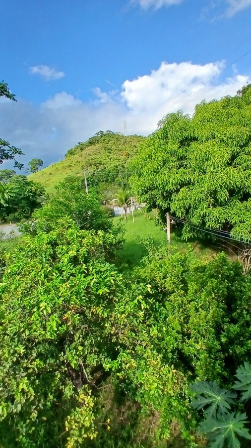 Fazenda, 2000 m² - Foto 15