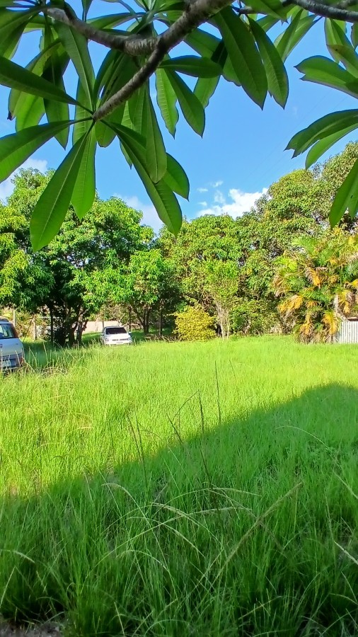 Fazenda, 2000 m² - Foto 19