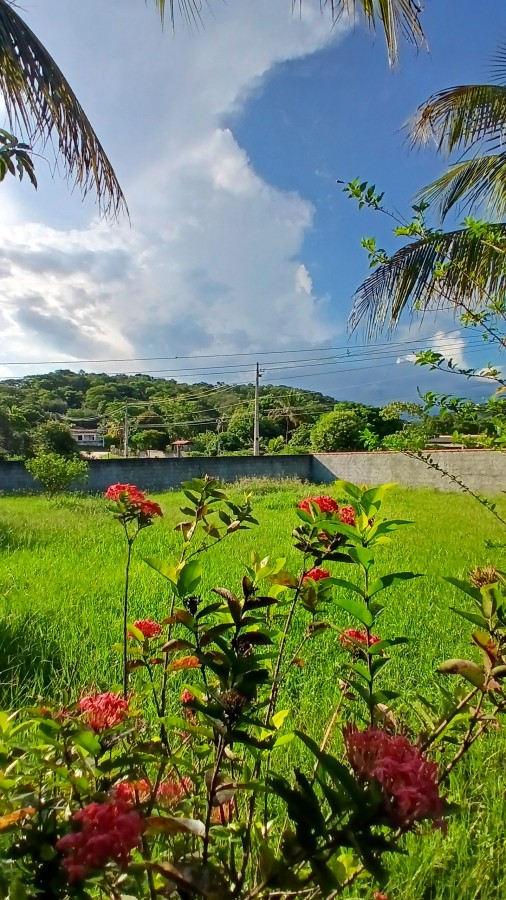 Fazenda, 2000 m² - Foto 20