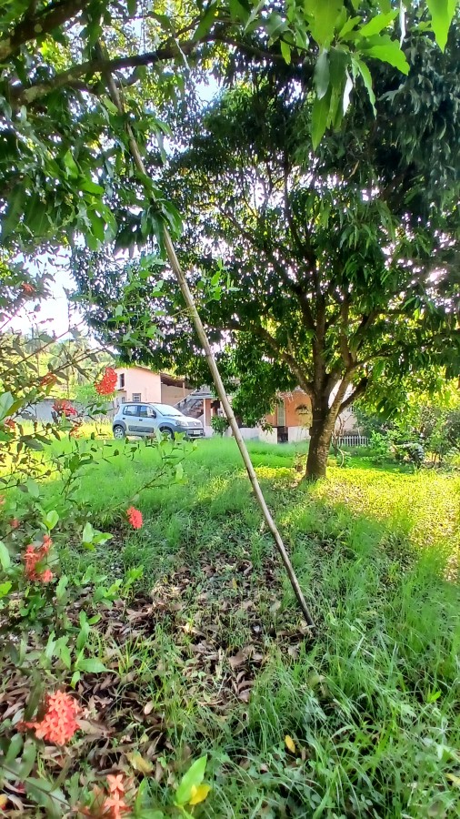 Fazenda, 2000 m² - Foto 21