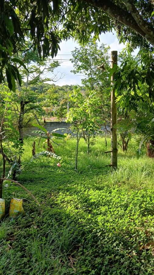 Fazenda, 2000 m² - Foto 22