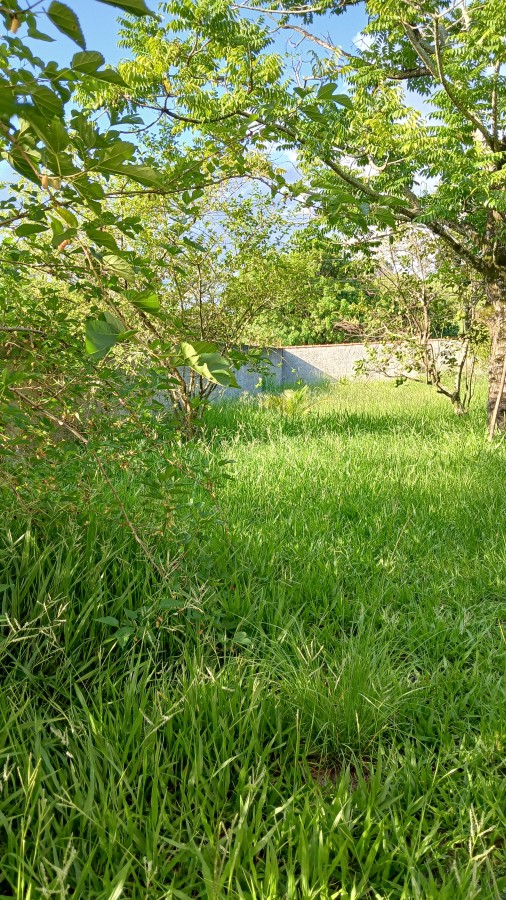 Fazenda, 2000 m² - Foto 23