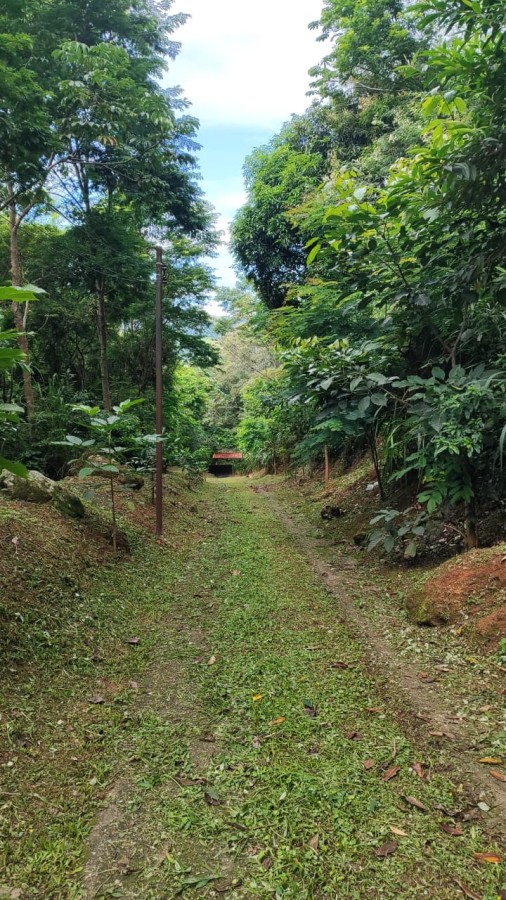 Fazenda, 2 hectares - Foto 15