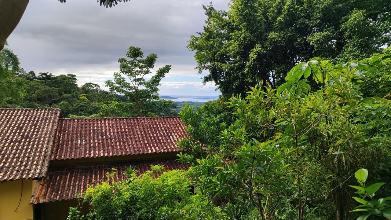 Fazenda, 2 hectares - Foto 2