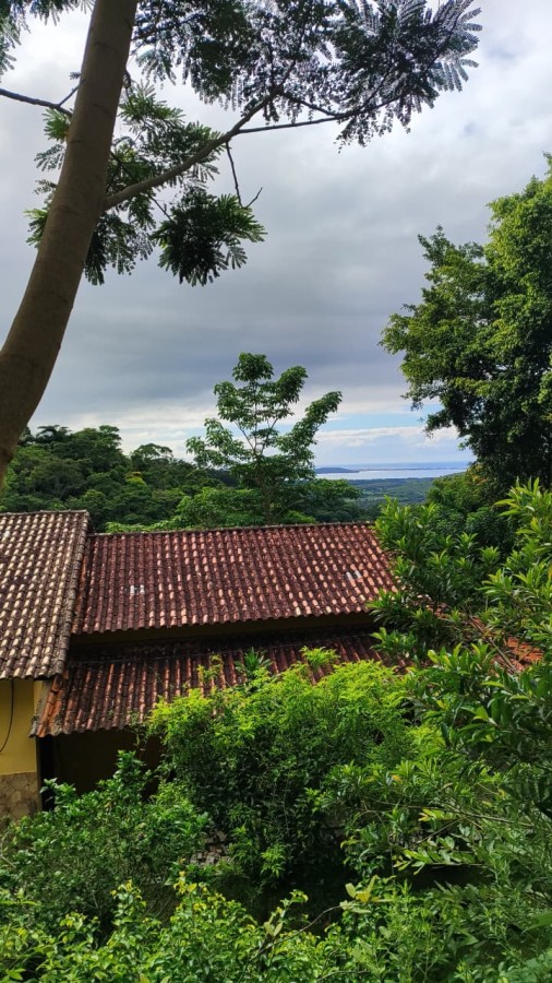 Fazenda, 2 hectares - Foto 7