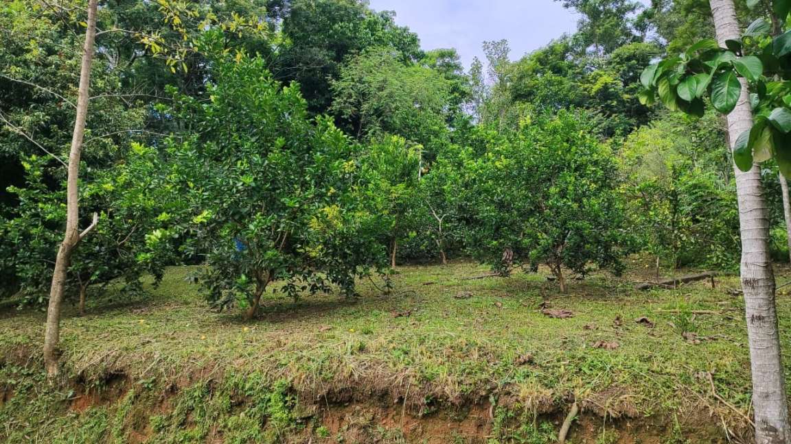 Fazenda, 2 hectares - Foto 18