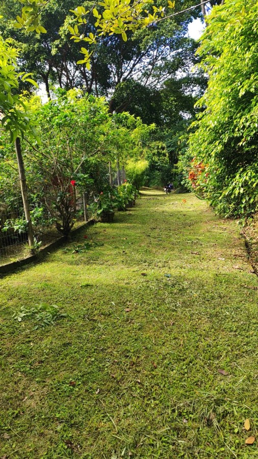 Fazenda, 2 hectares - Foto 4