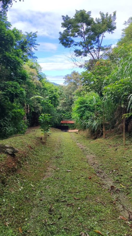 Fazenda, 2 hectares - Foto 31