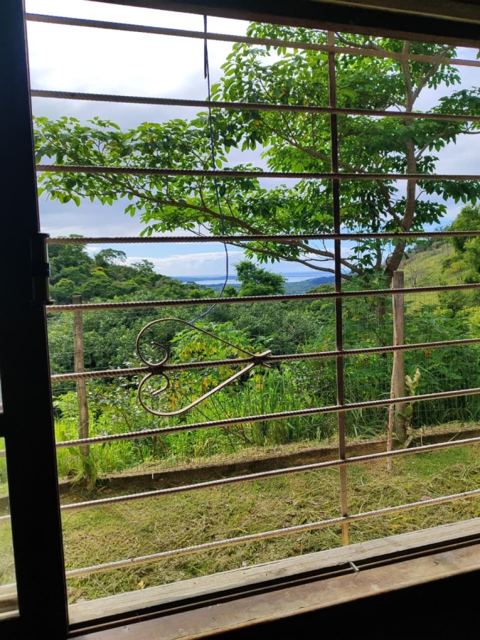 Fazenda, 2 hectares - Foto 32