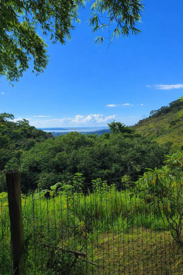 Fazenda, 2 hectares - Foto 6