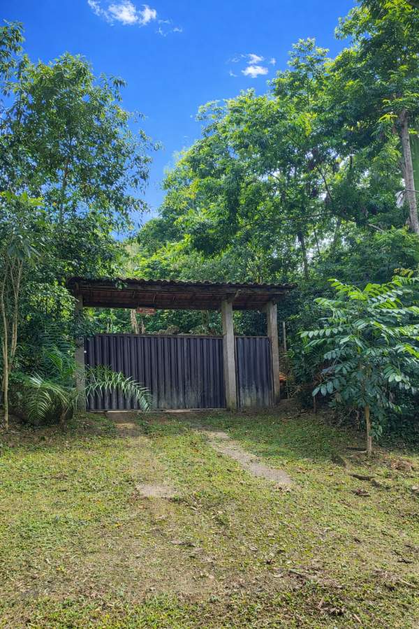 Fazenda, 2 hectares - Foto 7
