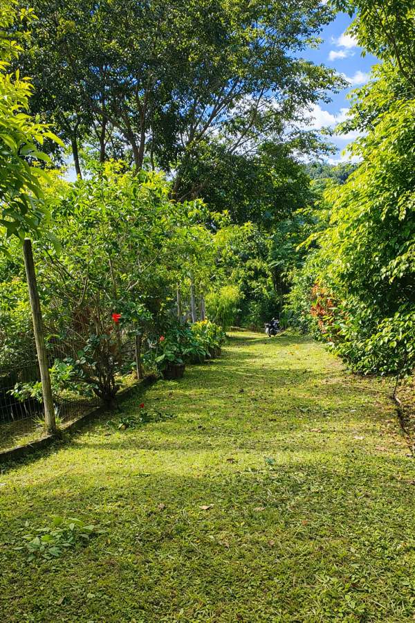 Fazenda, 2 hectares - Foto 8