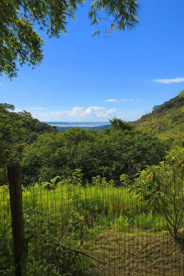 Fazenda, 2 hectares - Foto 10