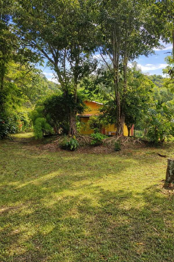 Fazenda, 2 hectares - Foto 9
