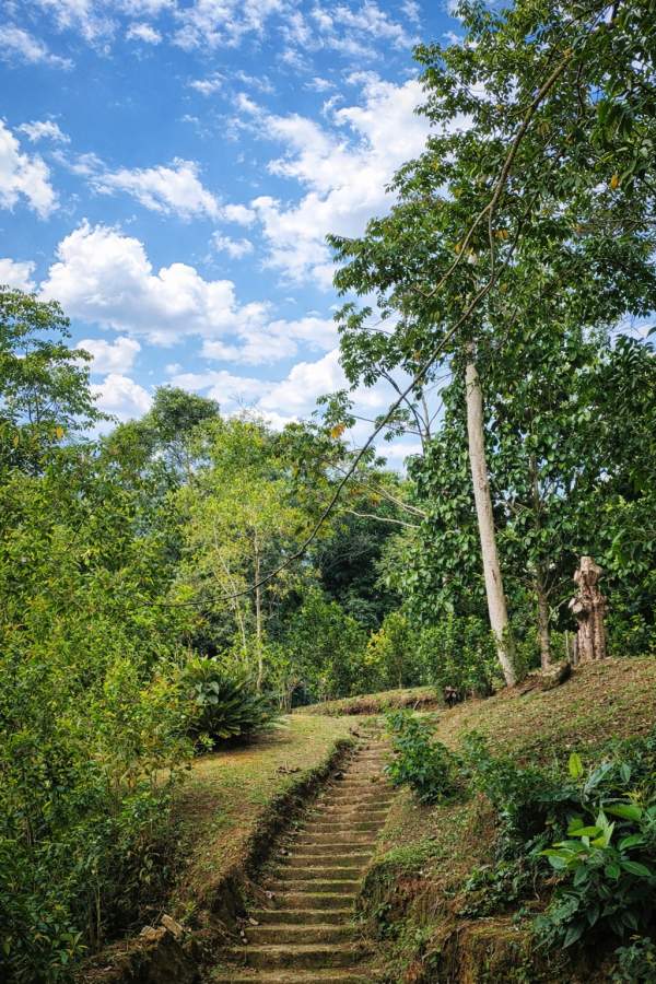 Fazenda, 2 hectares - Foto 11