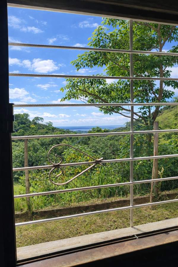 Fazenda, 2 hectares - Foto 12