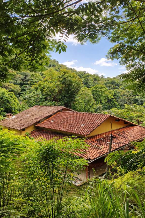 Fazenda, 2 hectares - Foto 2