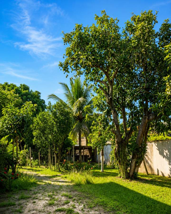 Fazenda, 1000 m² - Foto 9