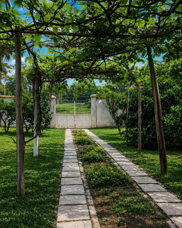 Fazenda, 1000 m² - Foto 3