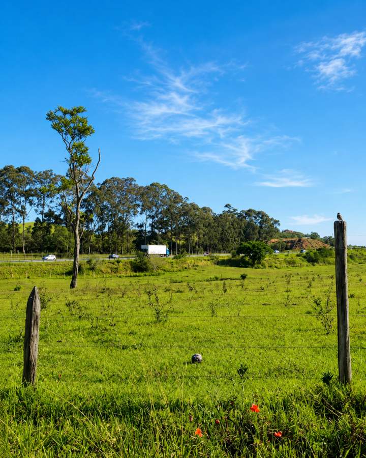 Fazenda, 1000 m² - Foto 10