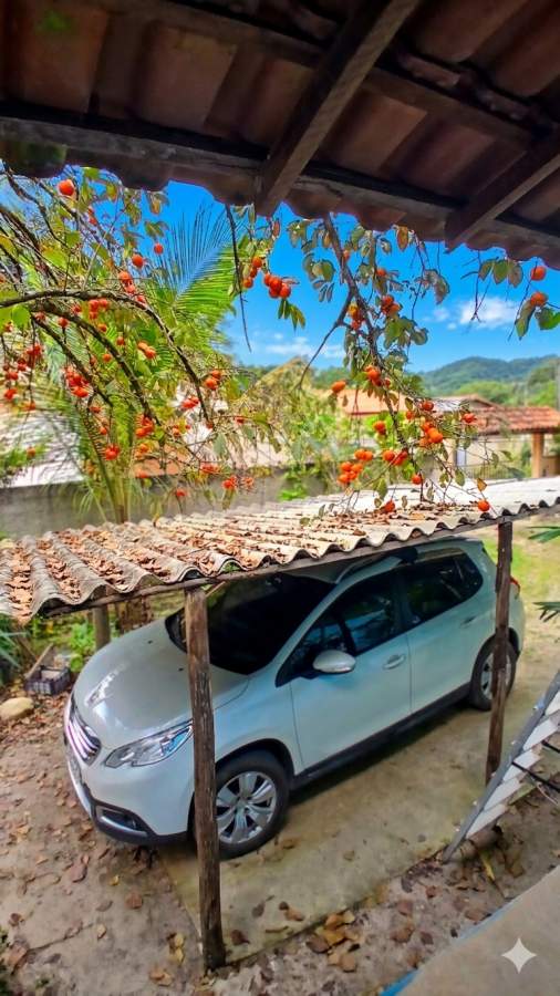 Fazenda, 2500 m² - Foto 6