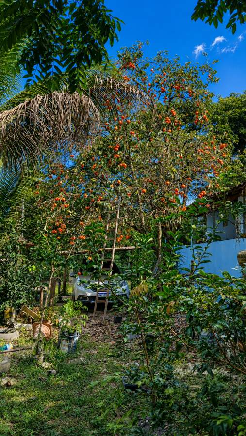 Fazenda, 2500 m² - Foto 20