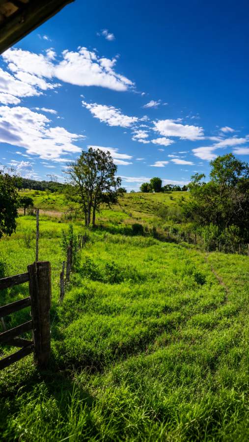 Fazenda, 38 m² - Foto 4