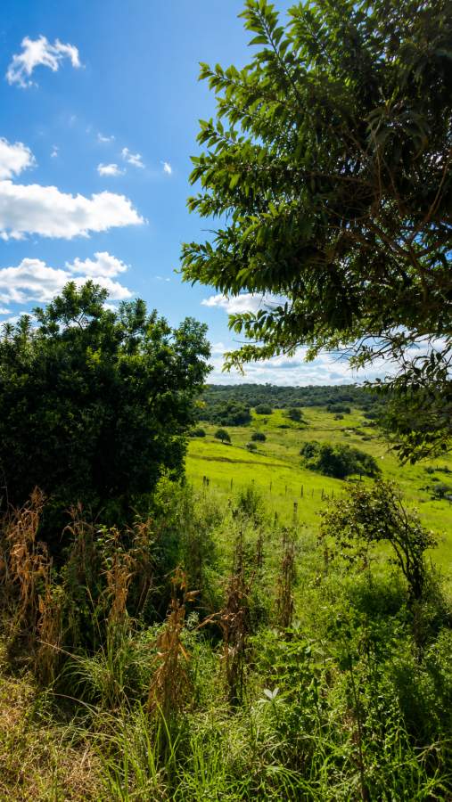 Fazenda, 38 m² - Foto 7