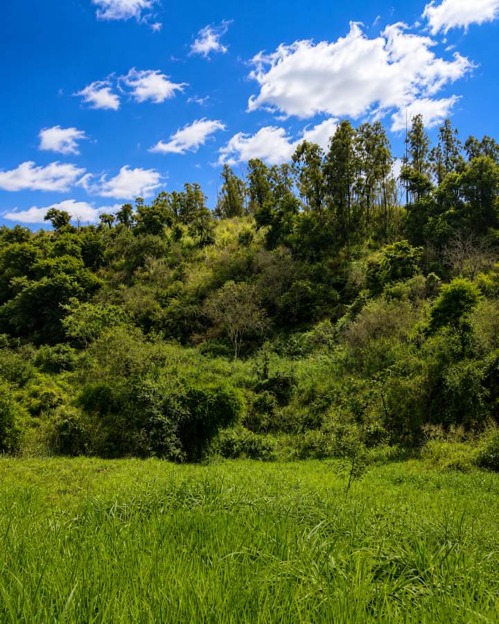 Fazenda, 12 hectares - Foto 24