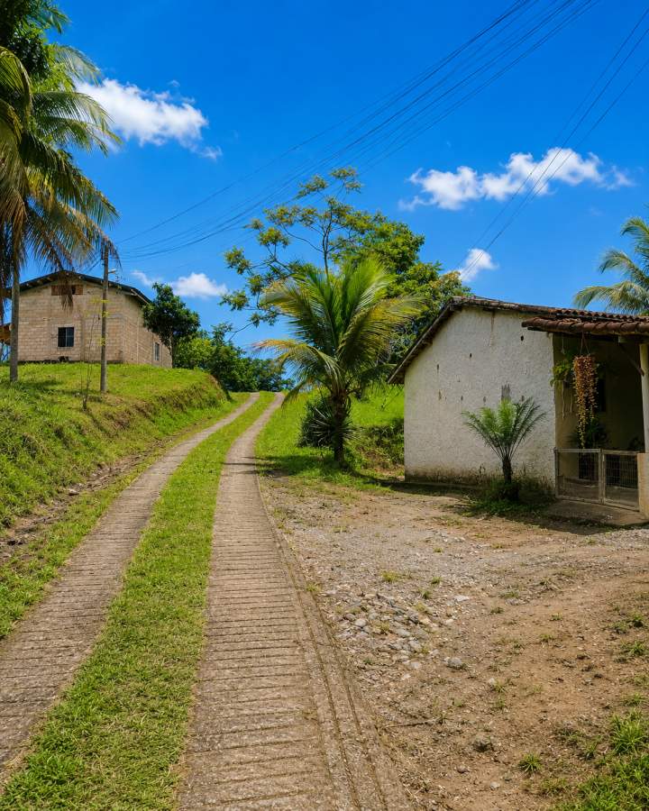 Fazenda, 12 hectares - Foto 28