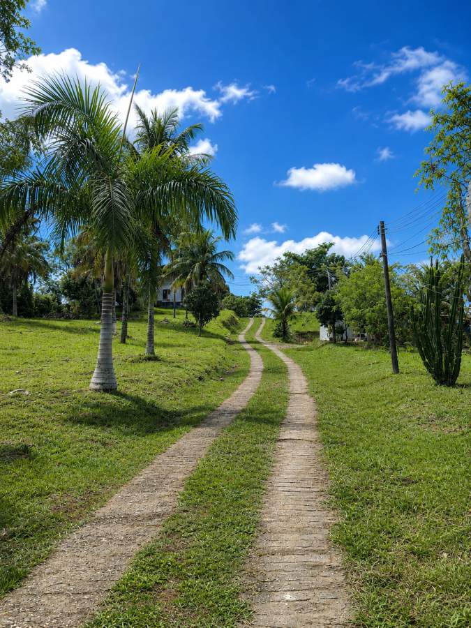 Fazenda, 12 hectares - Foto 1
