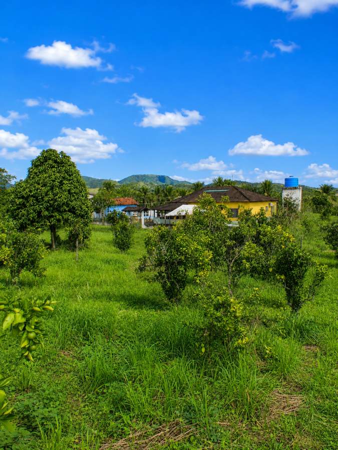 Fazenda, 12 hectares - Foto 31