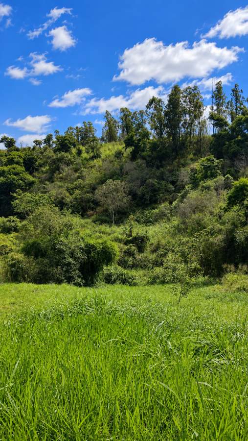 Fazenda, 12 hectares - Foto 35