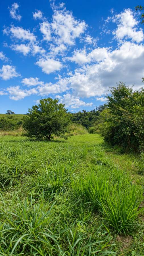 Fazenda, 12 hectares - Foto 38