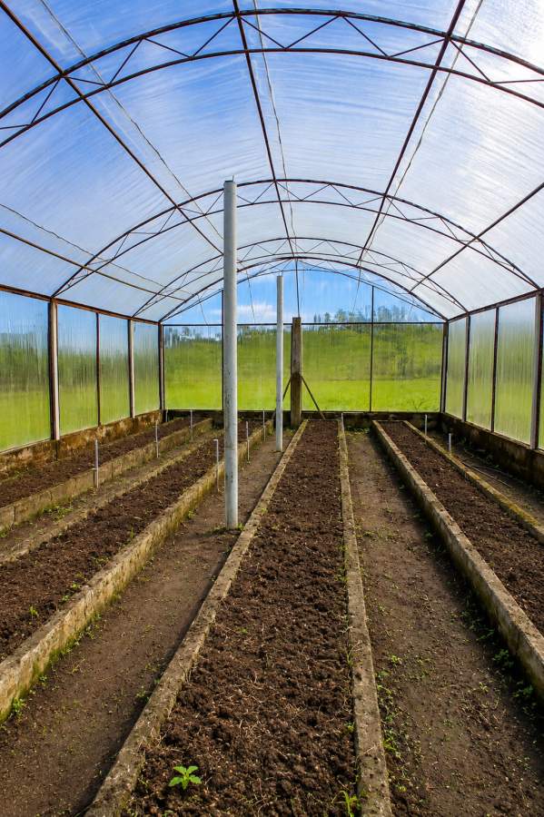 Fazenda, 12 hectares - Foto 42