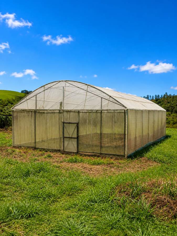 Fazenda, 12 hectares - Foto 41