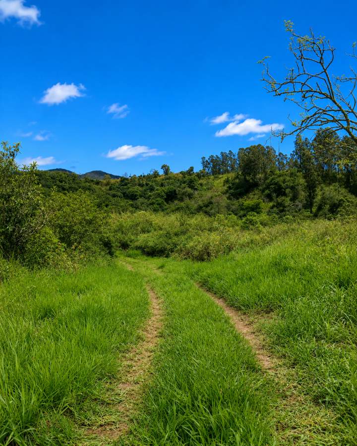 Fazenda, 12 hectares - Foto 39
