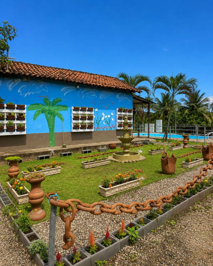 Fazenda, 12 hectares - Foto 47